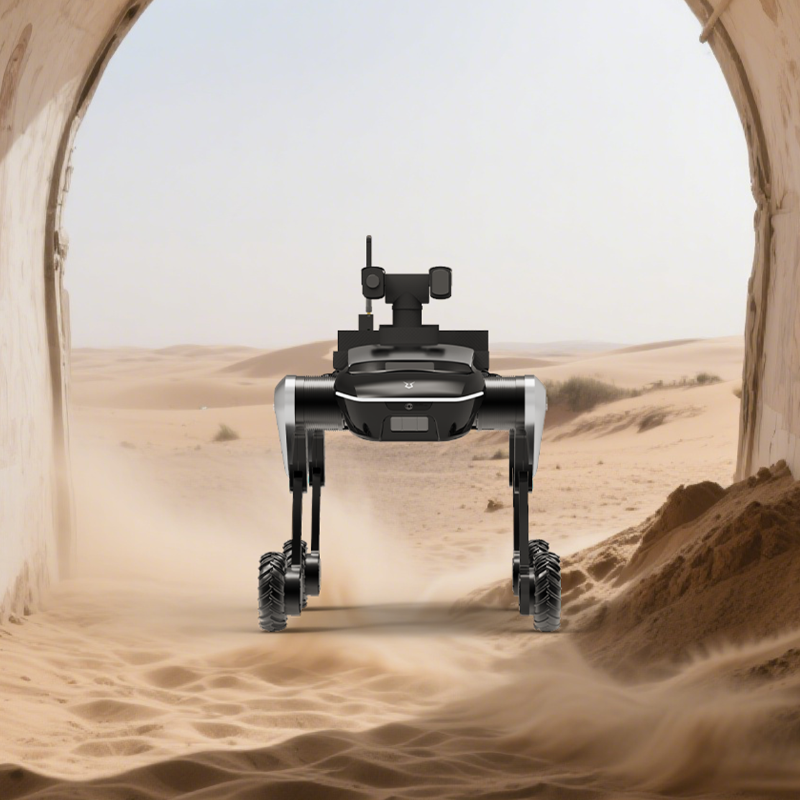 there's a robot dog in extreme area.